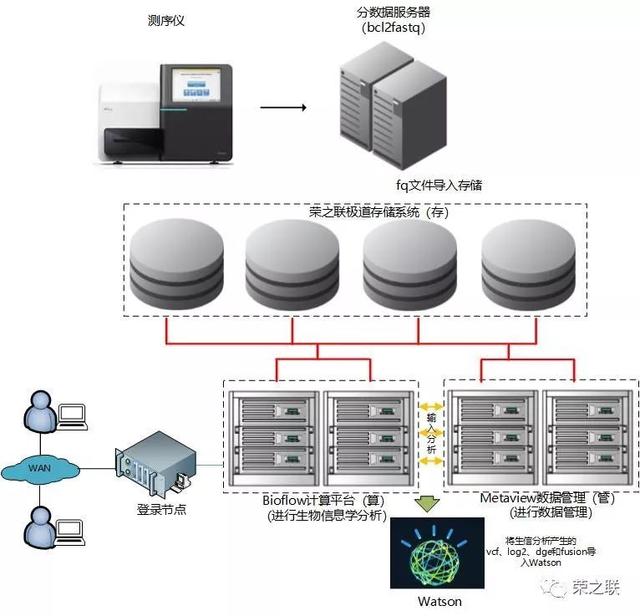 基因檢測分析服務正式上線 榮之聯為菩提慧生醫學檢驗所注入數據處理新動能