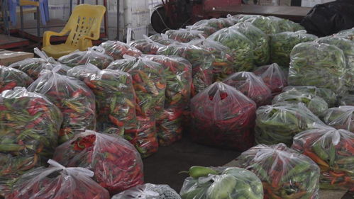 福州全力保供應，拎穩市民“菜籃子”