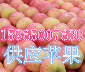 莒縣傲翔農副產品購銷處 探索海量高清圖片庫，展現農副產品的天然魅力