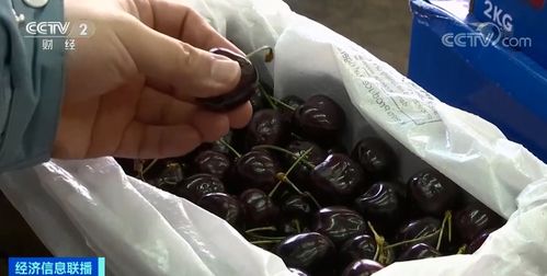 車厘子價格腰斬，榴蓮價格創新高 農副產品市場波動解析