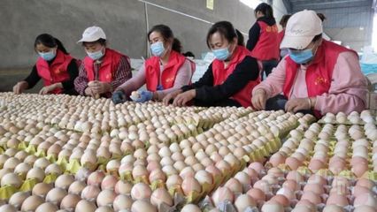 搭乘'電商號'，尉氏農副產品駛向鄉村振興'站臺'