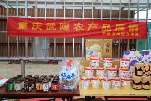 歷下區千佛山街道東西部協作農特產品惠民專場助力農副產品銷售