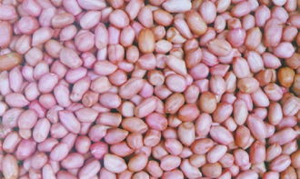 湖北花生產業鏈 從種植到銷售的全方位解析