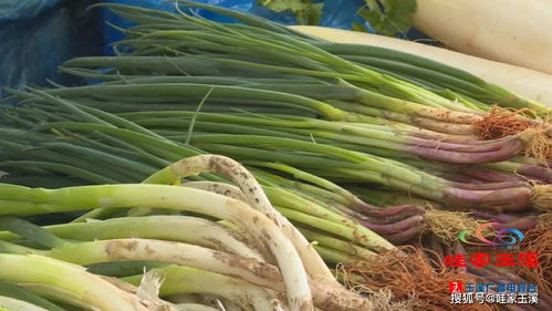 農(nóng)副產(chǎn)品年貨采購熱潮來臨，價格穩(wěn)中有降，銷售市場繁榮