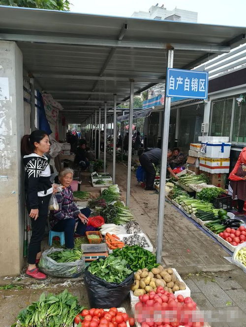 自產自銷區 為進城農民鋪就安心銷售路