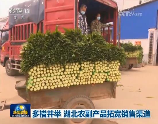 多措并舉 湖北農副產品拓寬銷售渠道