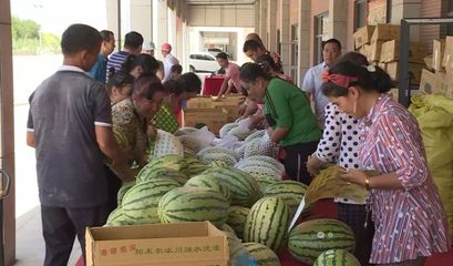 白云人組團采購逾1.5萬個新疆西瓜，愛心接力解滯銷燃眉之急